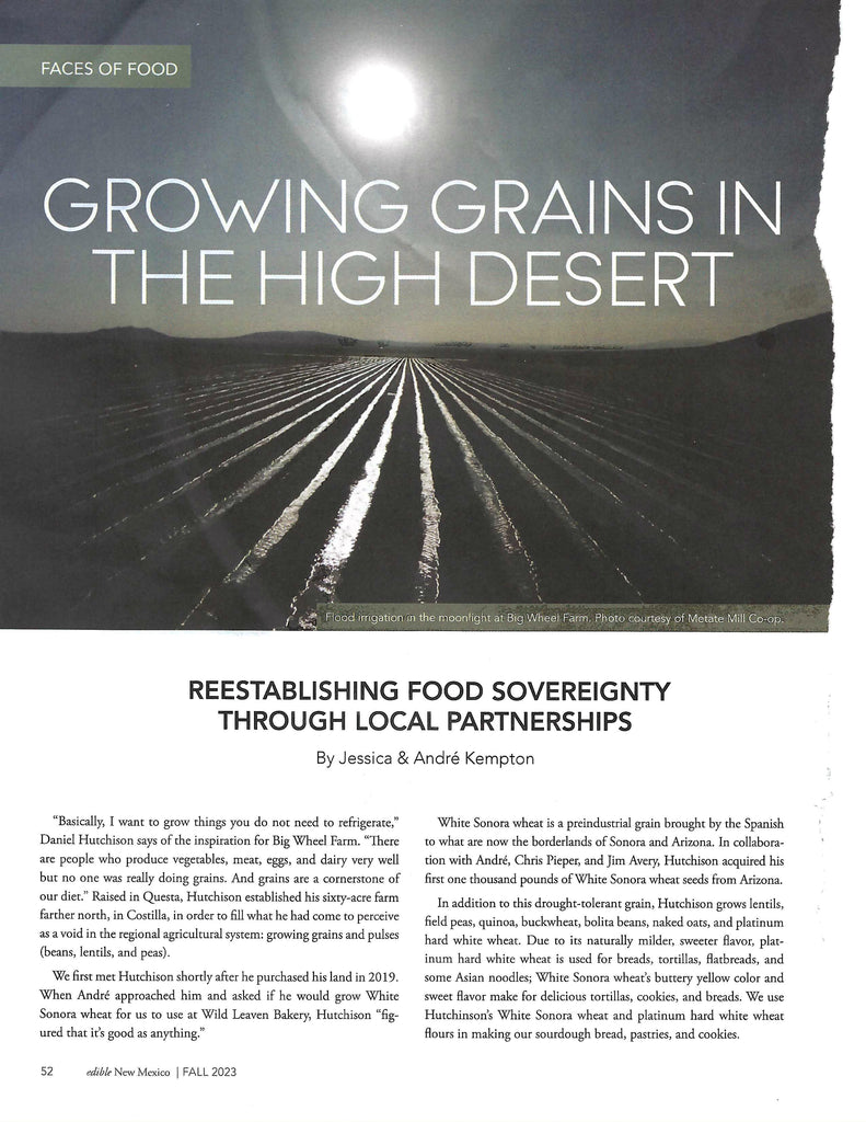 Growing grains in the high desert | Edible New Mexico