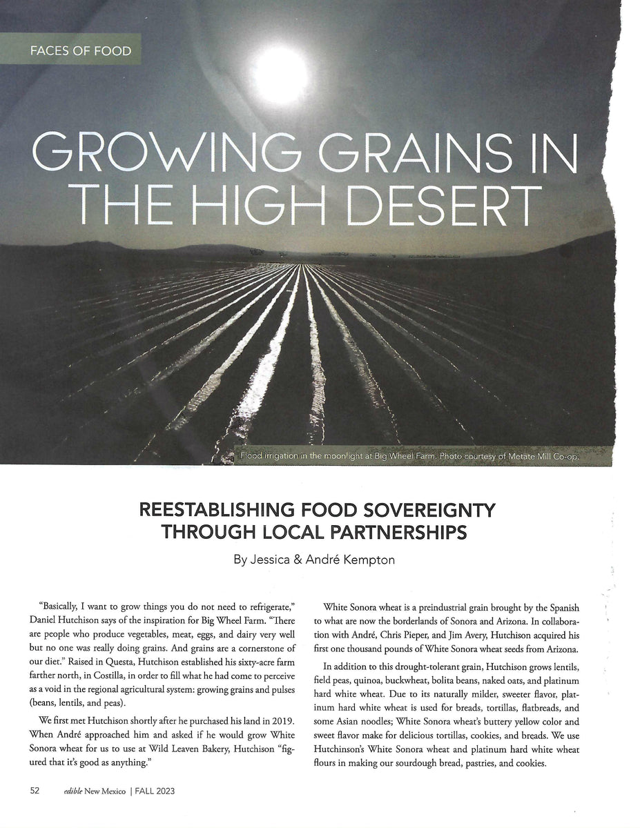 Growing grains in the high desert Edible New Mexico The Wild Leaven